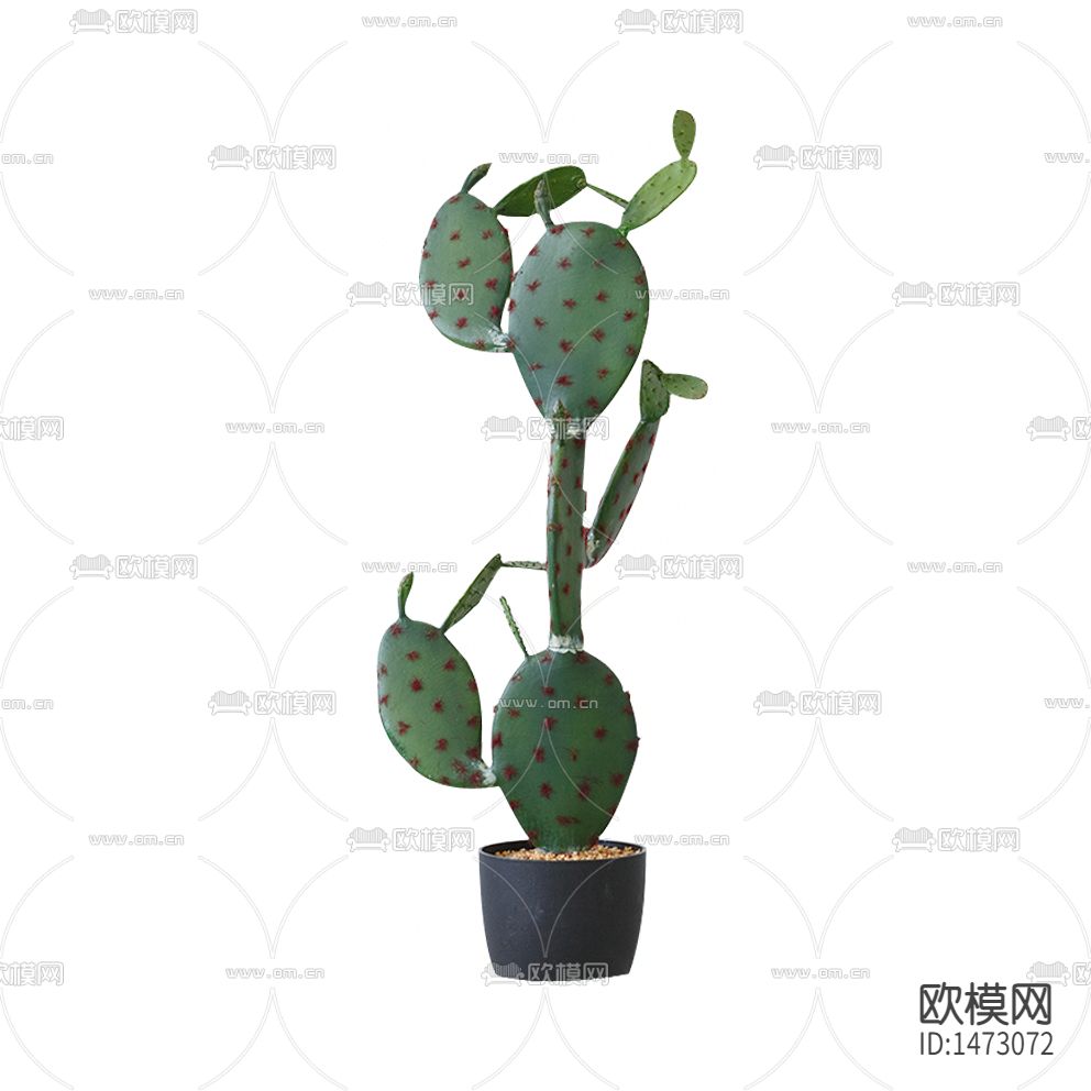 北欧大型仙人掌绿植