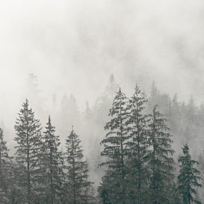  云雾山林外景贴图 