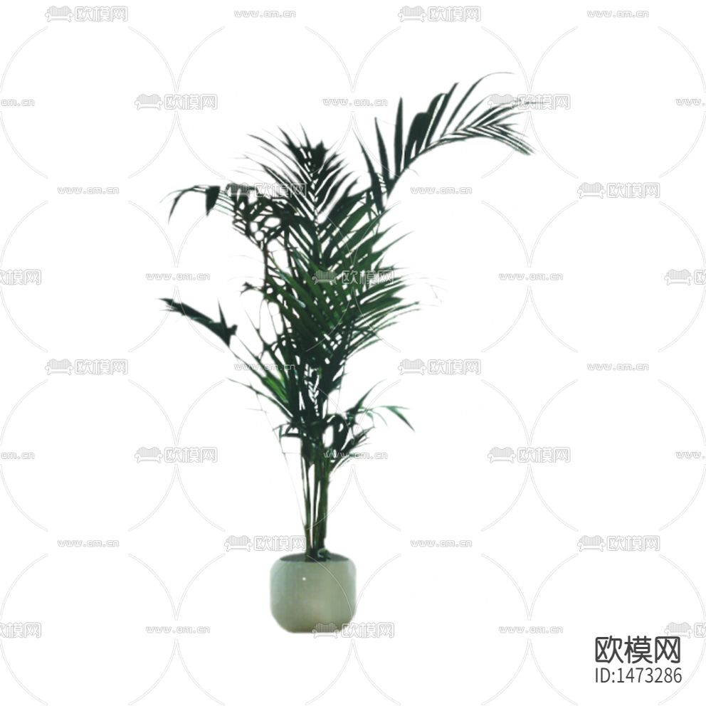 现代简约创意陶瓷花盆摆放绿植下载