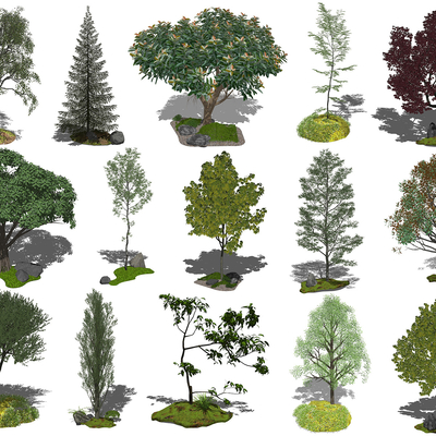  现代景观树su模型 