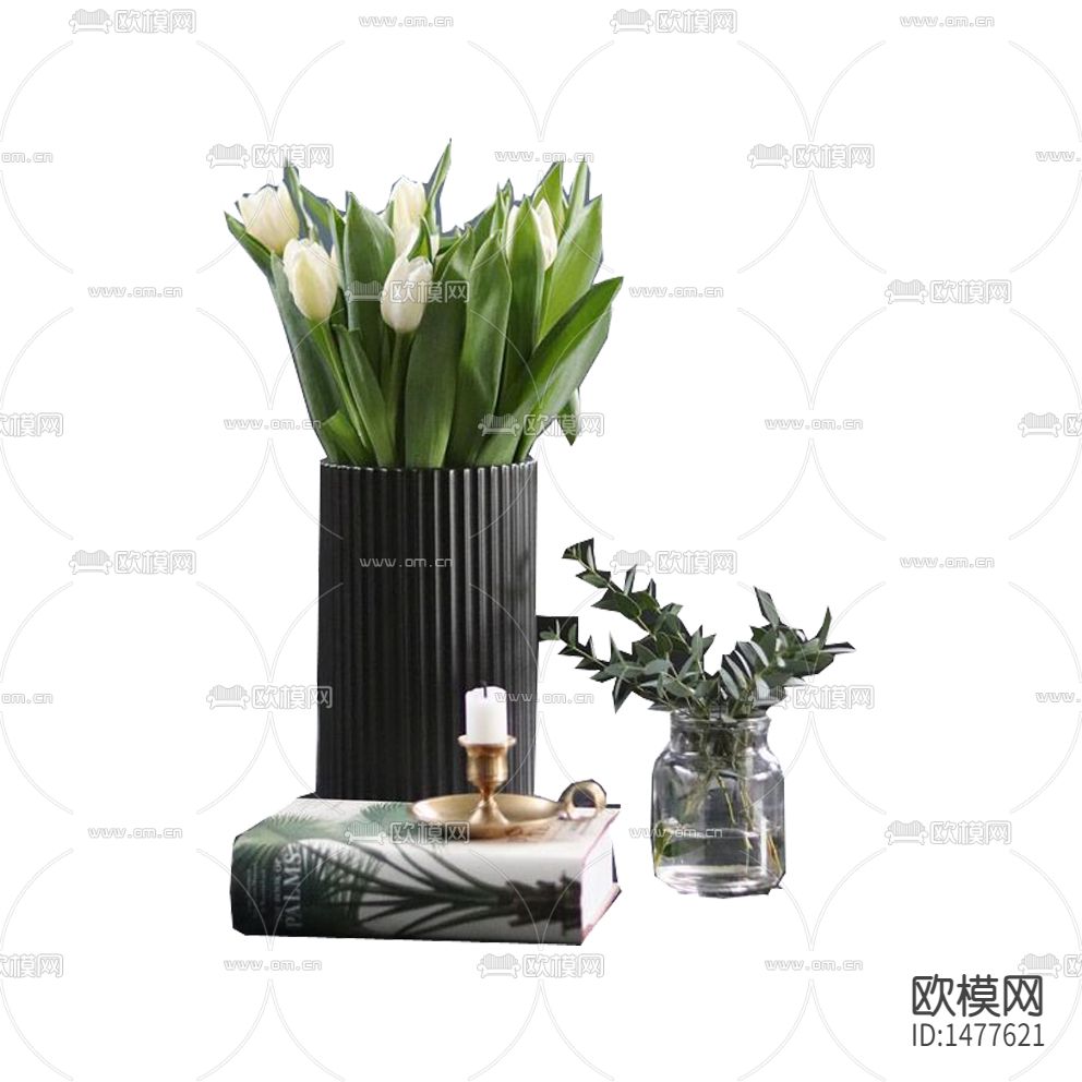 现代简约创意摆放绿植