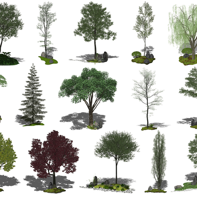  现代景观树乔木su模型 