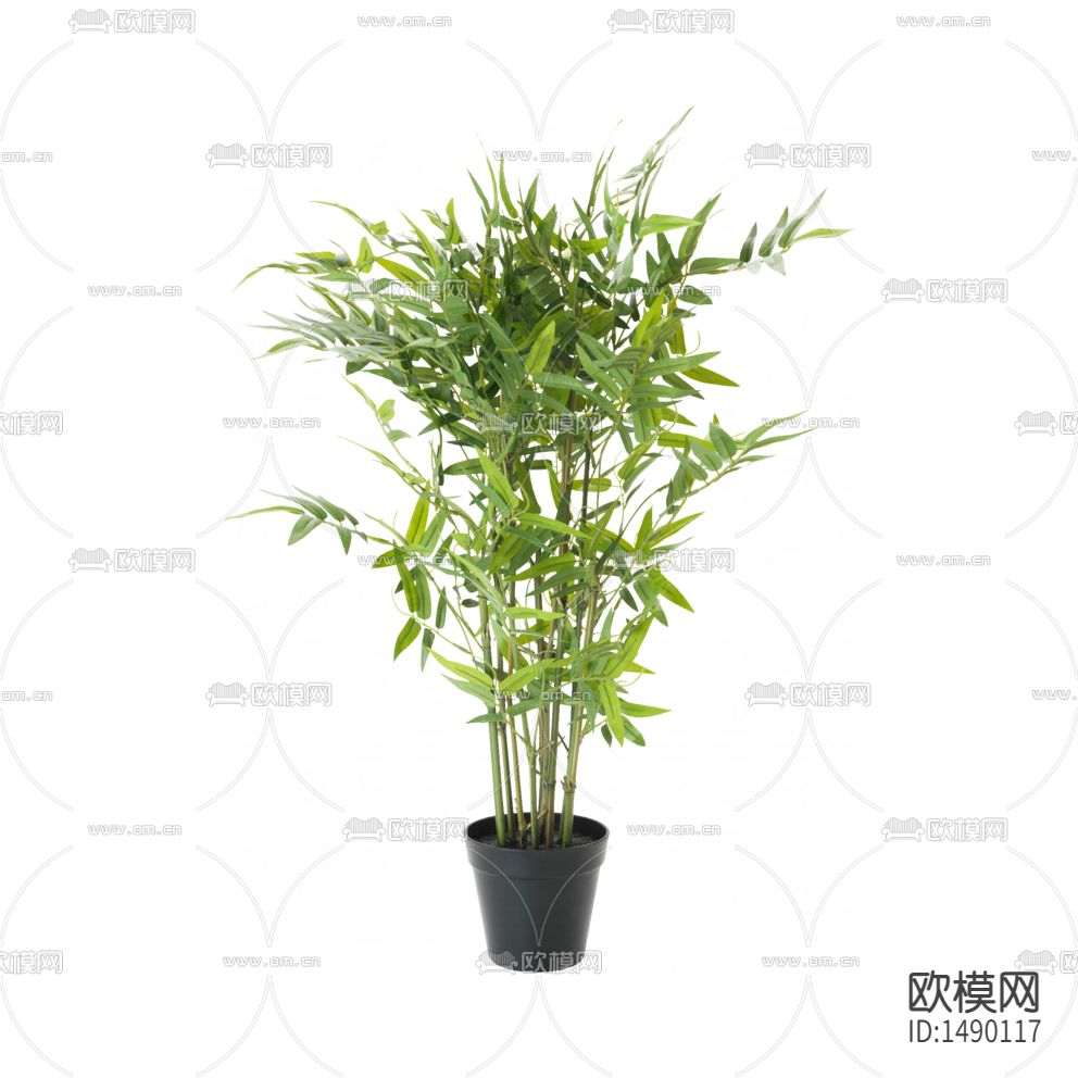 现代竹子绿植盆栽下载
