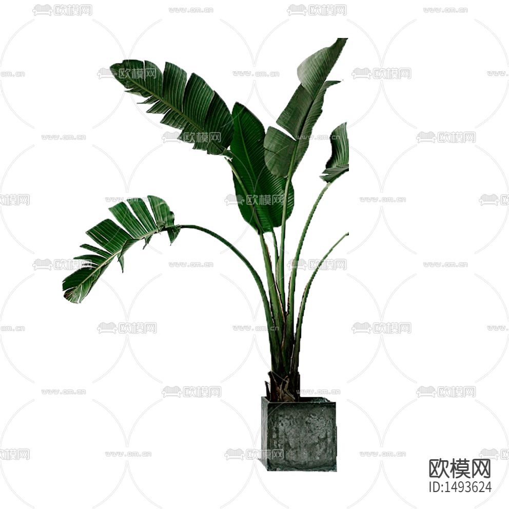 现代简约绿植盆栽