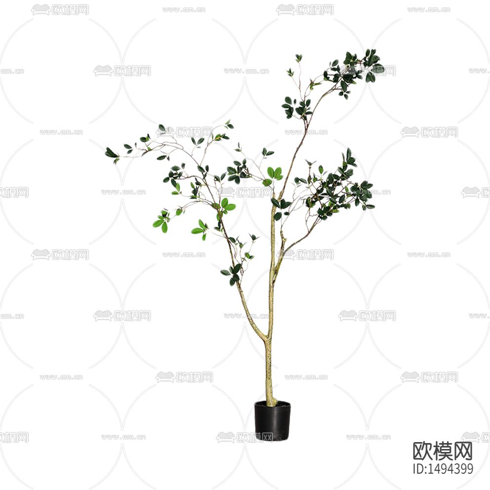 现代简约绿植盆栽