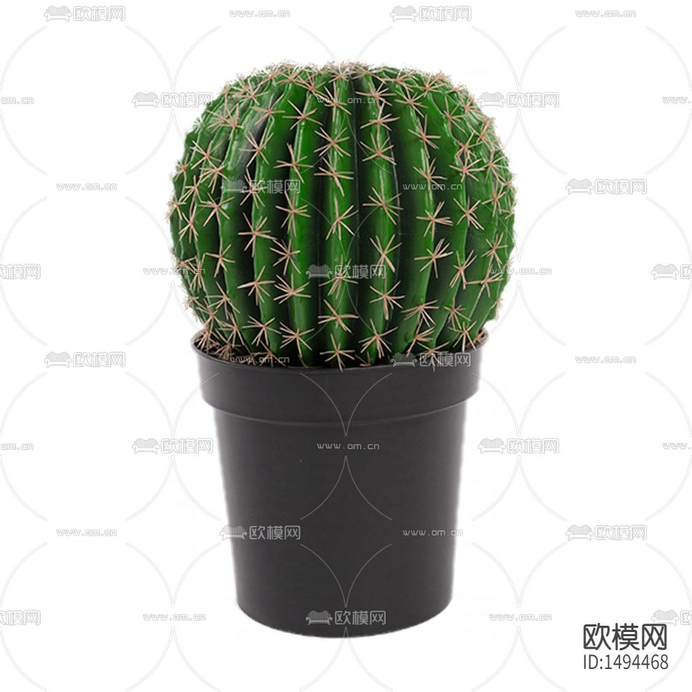 北欧简约仙人掌球绿植盆栽
