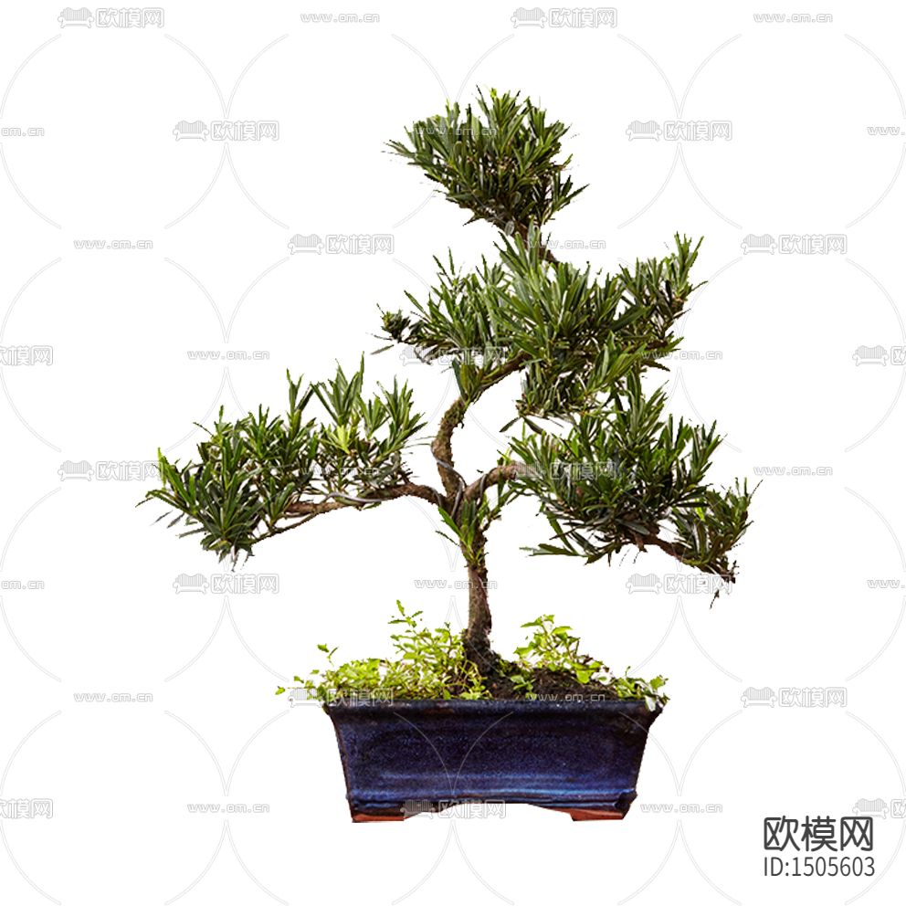 现代简约创意小型树木绿植下载