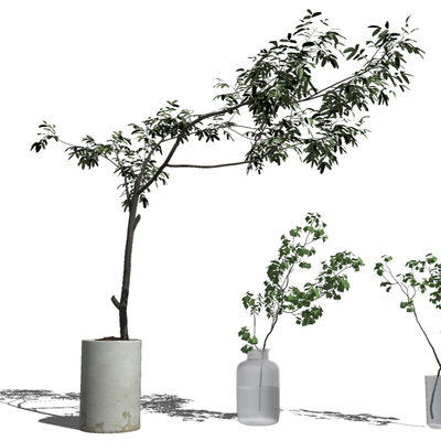  现代水生植物花瓶su模型 