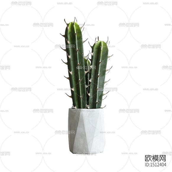 北欧简约仙人掌绿植下载