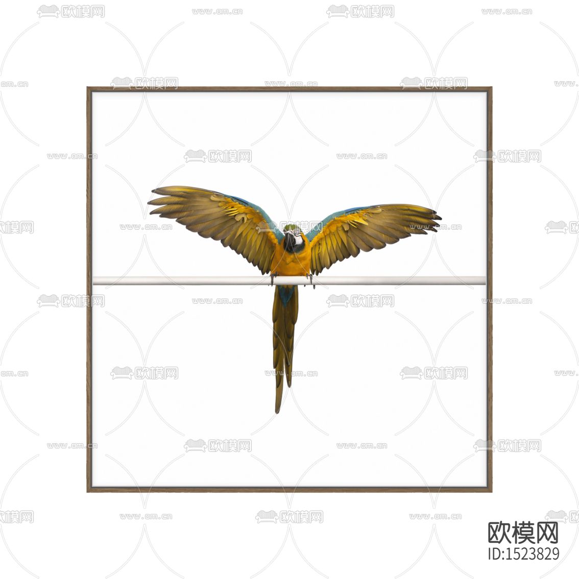 北欧简约创意鹦鹉摄影装饰画下载