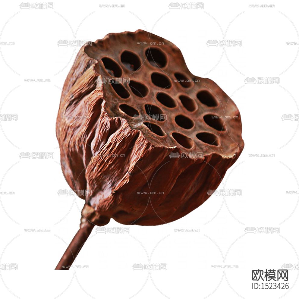 中式古典干支莲蓬摆件