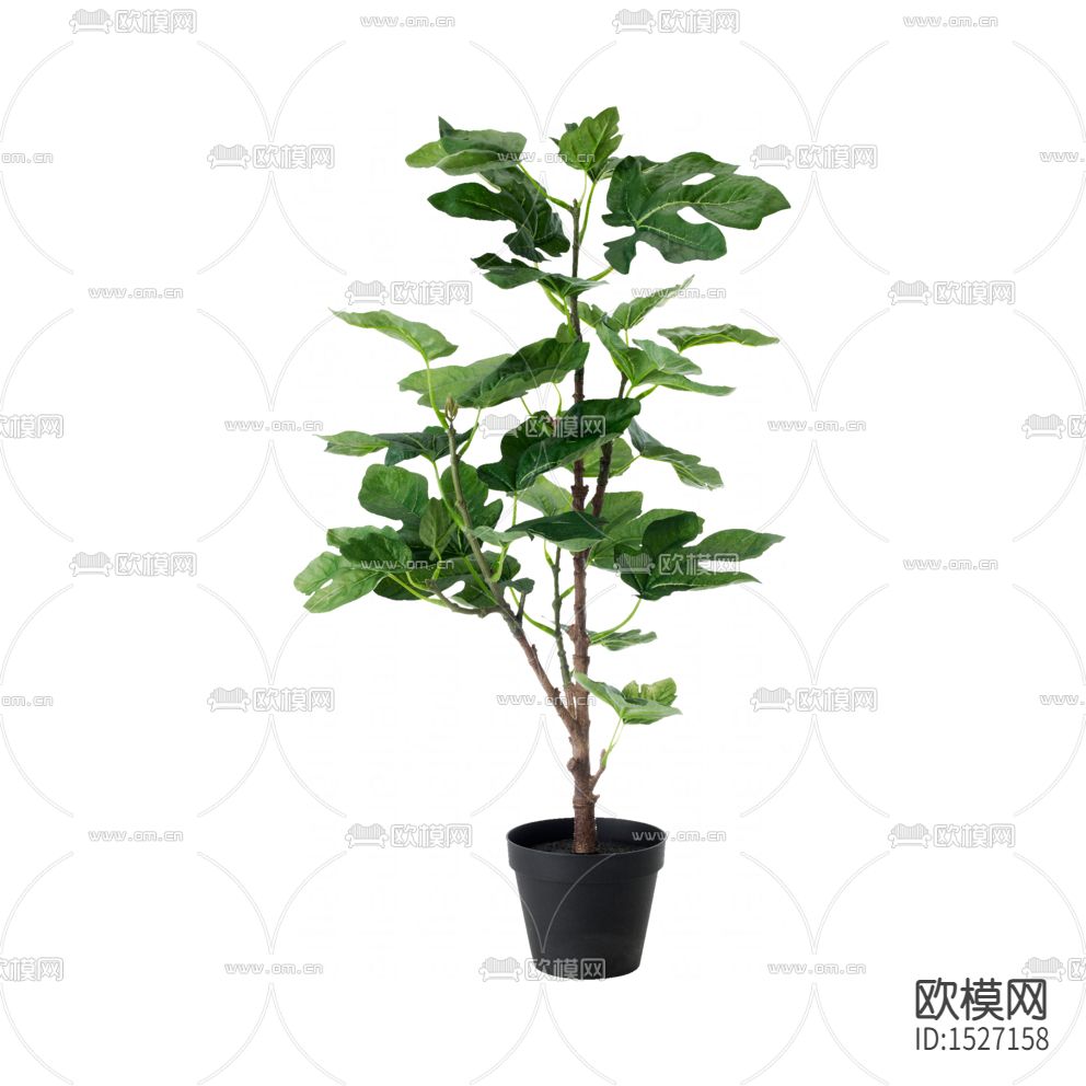 现代简约创意小型树木绿植下载