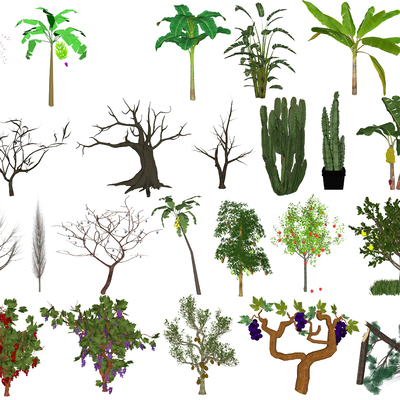 现代果树su模型 