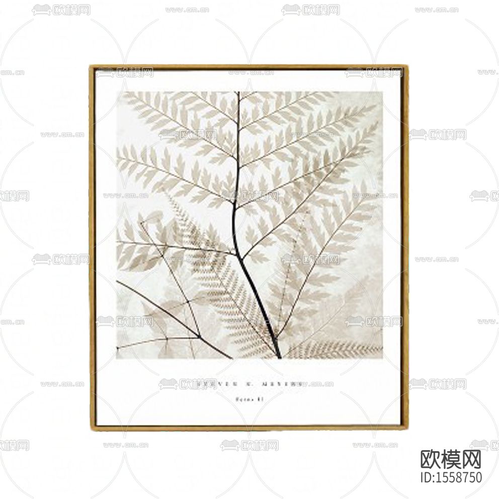 北欧蕨类叶子植物装饰画下载