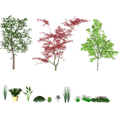  现代花草景观树su模型 