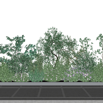  现代户外绿植su模型 