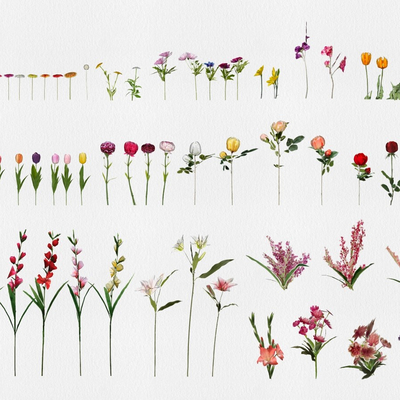  现代花草su模型 