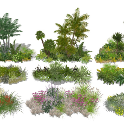  现代植物灌木su模型 