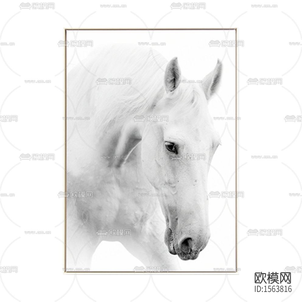 现代轻奢马匹摄影装饰画下载