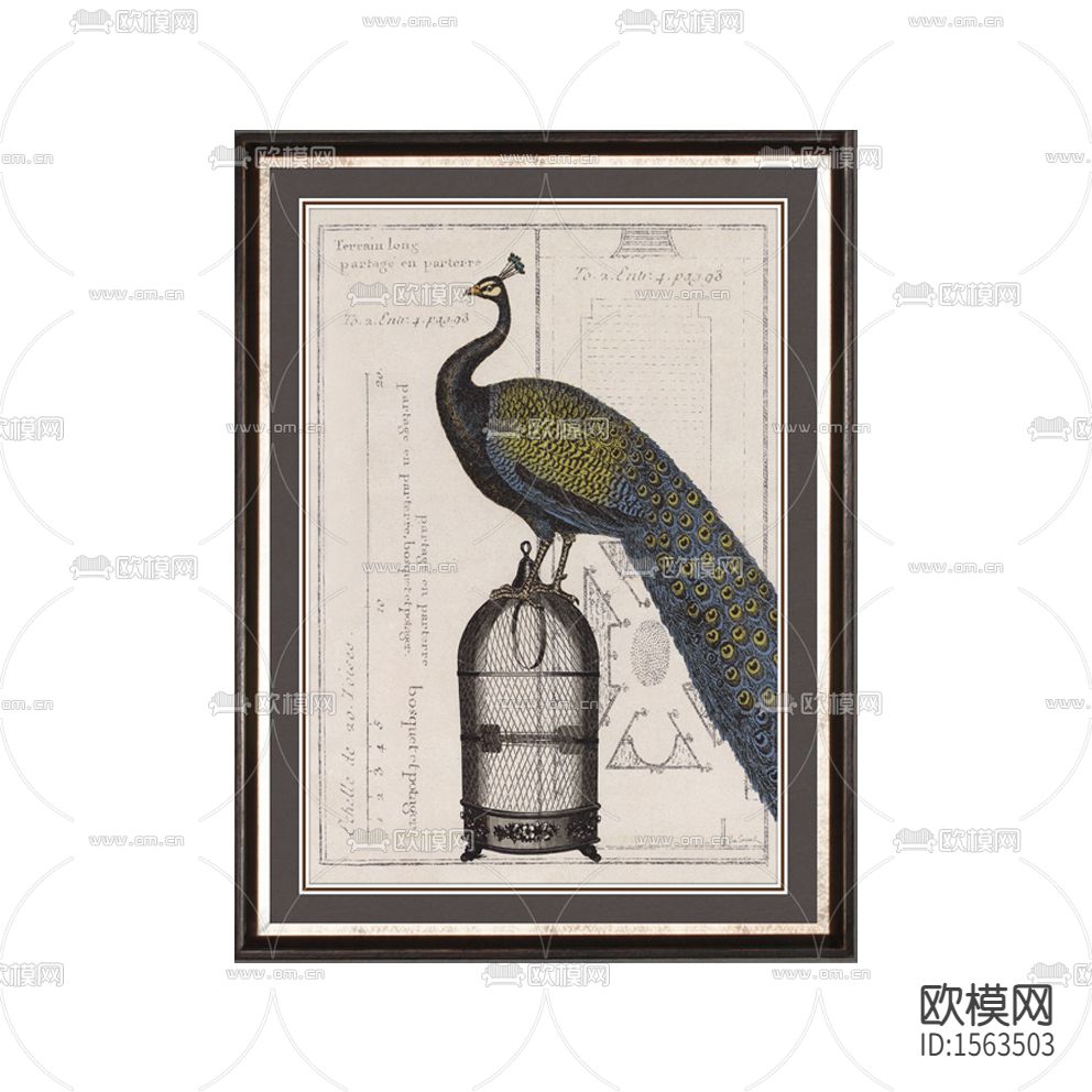 美式古典彩绘孔雀装饰画下载