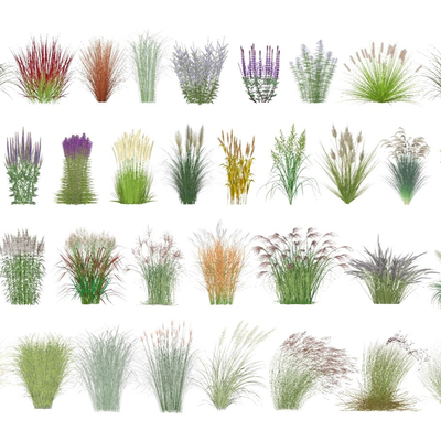  现代花草su模型 