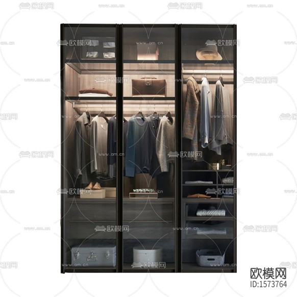 現(xiàn)代輕奢創(chuàng)意實木不銹鋼玻璃衣柜下載