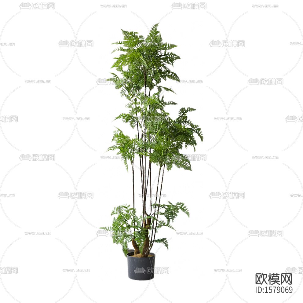 现代简约创意小型树木绿植