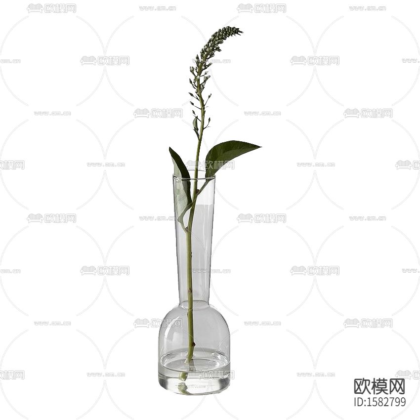 现代简约创意玻璃花瓶摆放绿植