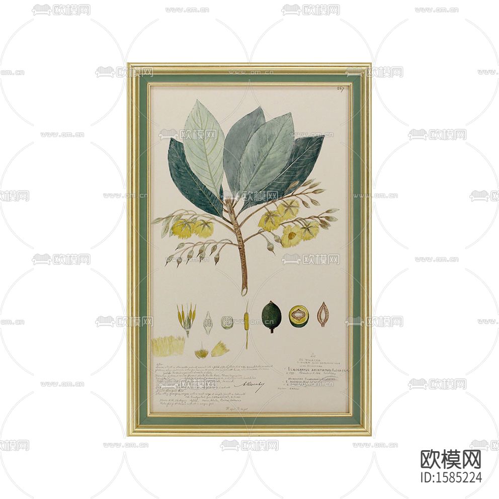 美式乡村绿植装饰画下载