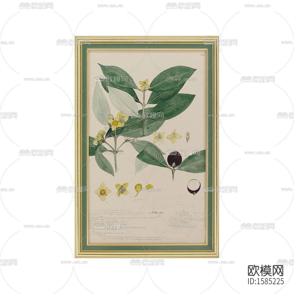 美式乡村绿植装饰画下载