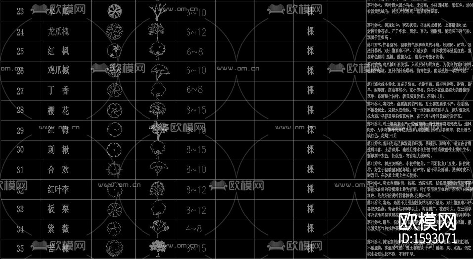 植物立面cad图库下载(渲染图9)