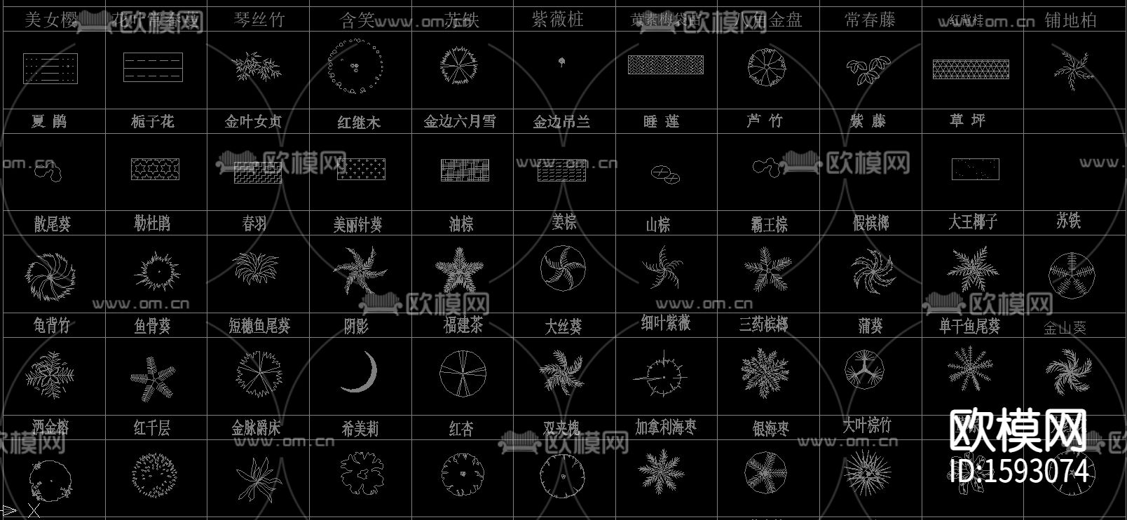 常用园林植物苗木cad图库下载（渲染图5）