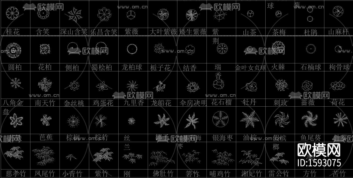 常用植物苗cad图库下载（渲染图3）