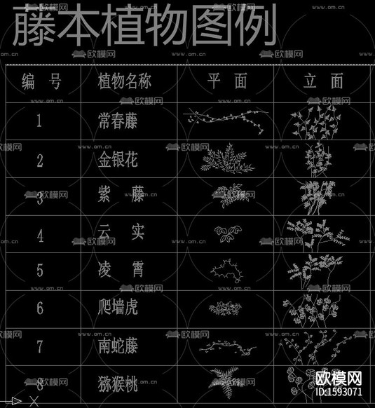 植物立面cad图库下载(渲染图10)