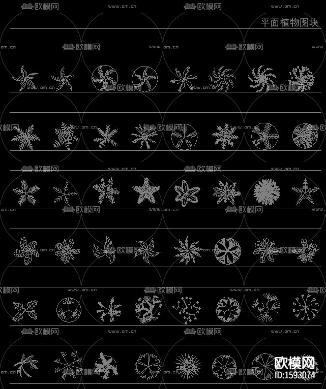 常用园林植物苗木cad图库下载（渲染图7）