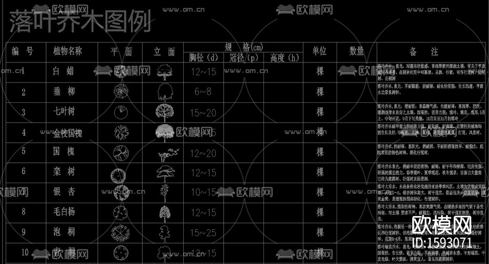 植物立面cad图库下载(渲染图3)