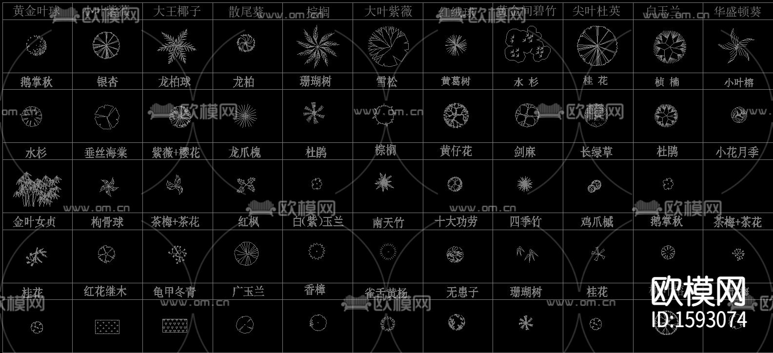 常用园林植物苗木cad图库下载（渲染图4）