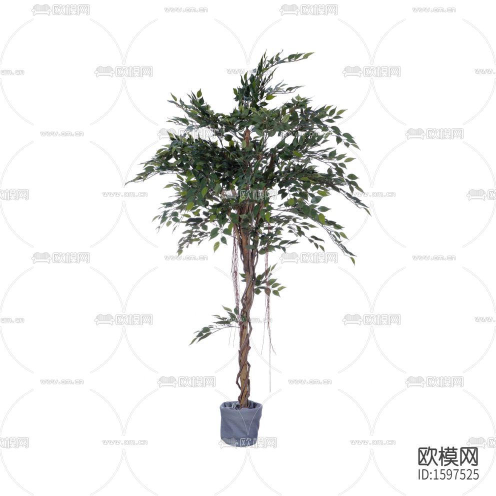 现代简约创意小型树木绿植下载