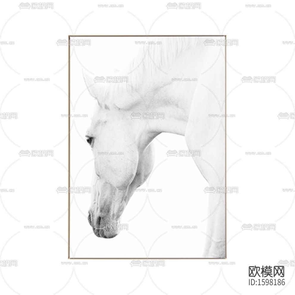 现代轻奢马匹摄影装饰画下载