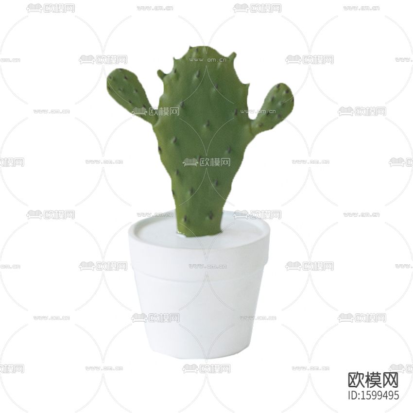 北欧简约陶瓷花盆仙人掌