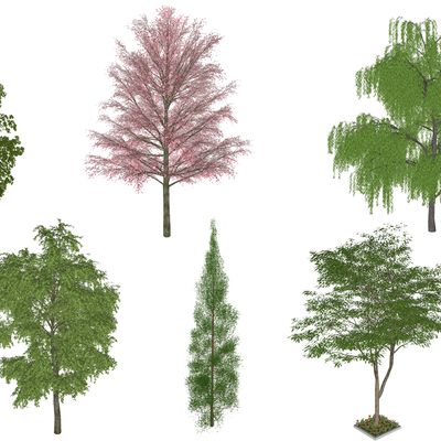 现代棕榈树su模型 