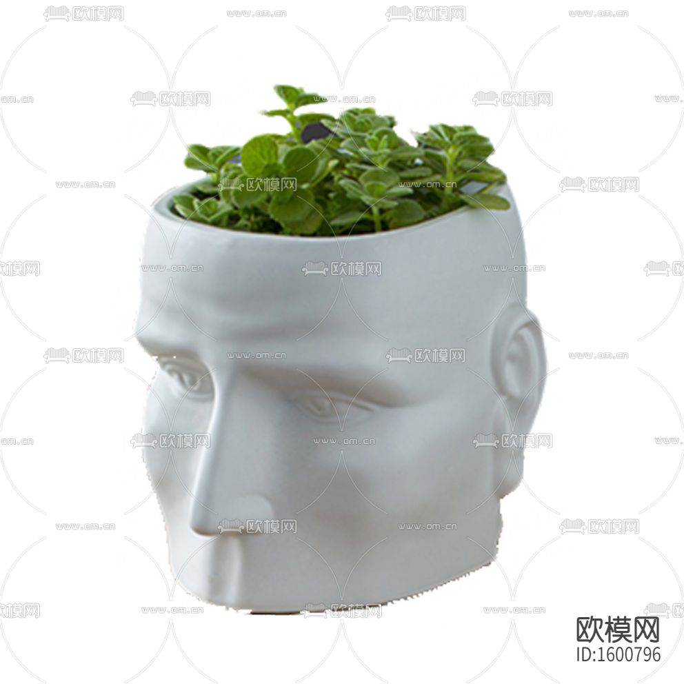 北欧简约创意头像陶瓷花瓶摆放绿植