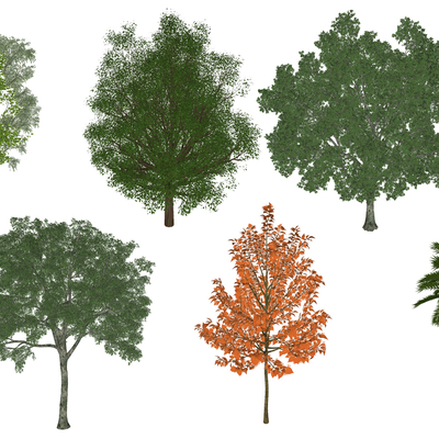 现代红叶树su模型 