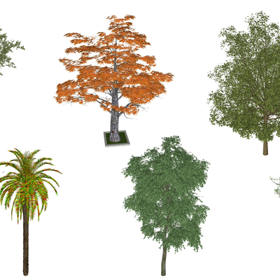  现代枫树su模型 