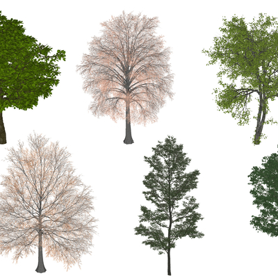  现代树木su模型 
