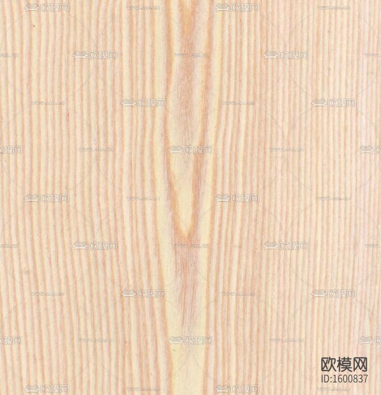 白橡