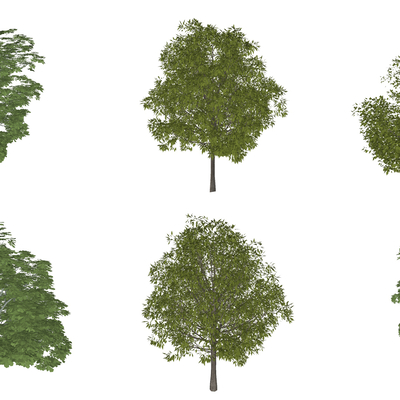 现代枫树su模型 
