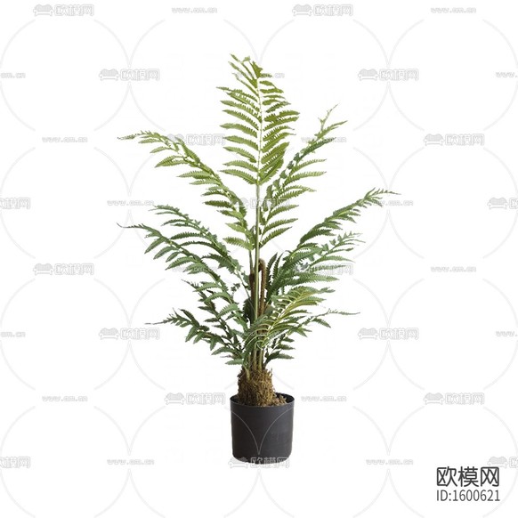 現(xiàn)代綠植盆栽下載