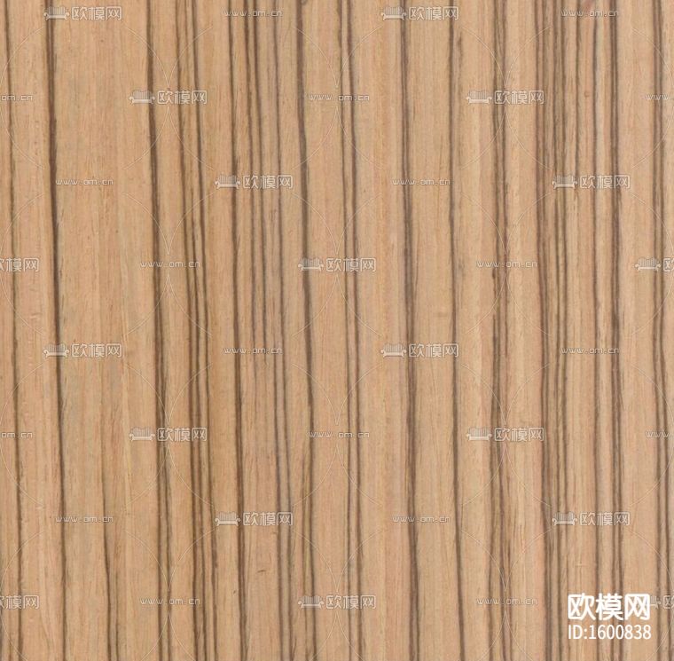 斑马纹