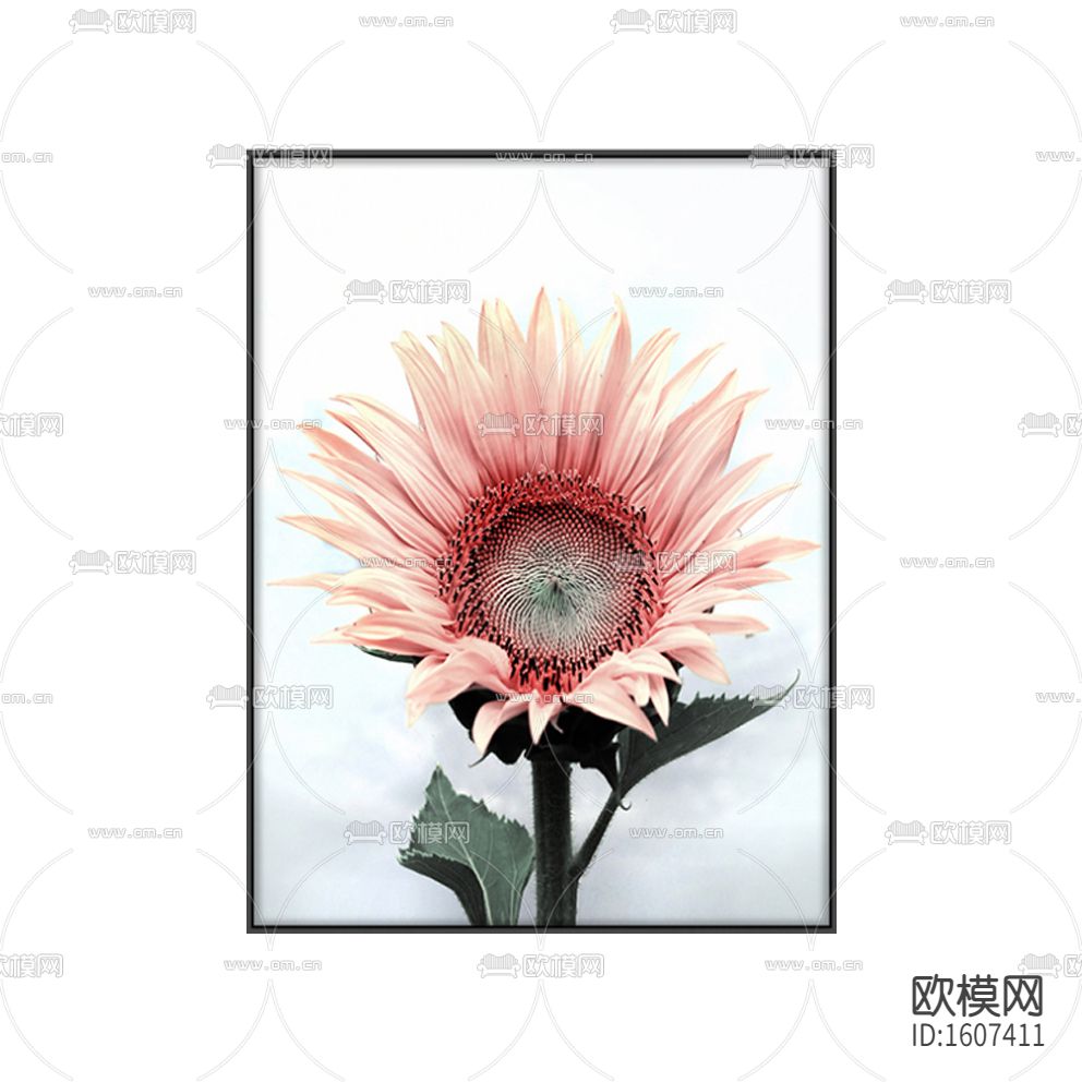 北欧创意向日葵摄影